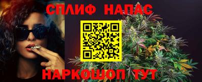 каннабис Новокубанск