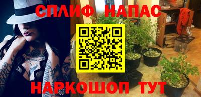 каннабис Новокубанск