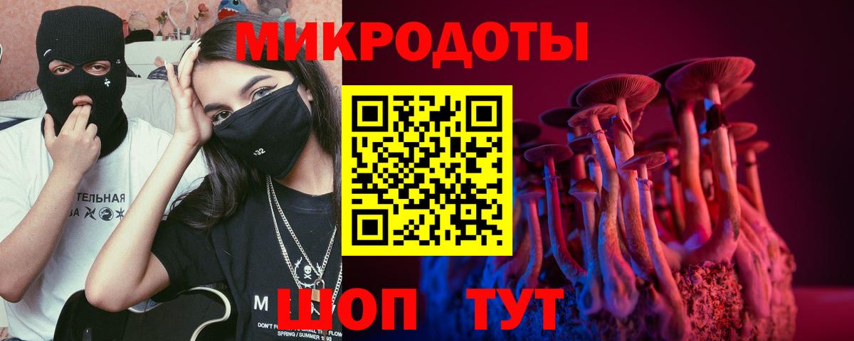 Сызрань  Псилоцибиновые грибы Psilocybine cubensis  Вход с VPN 